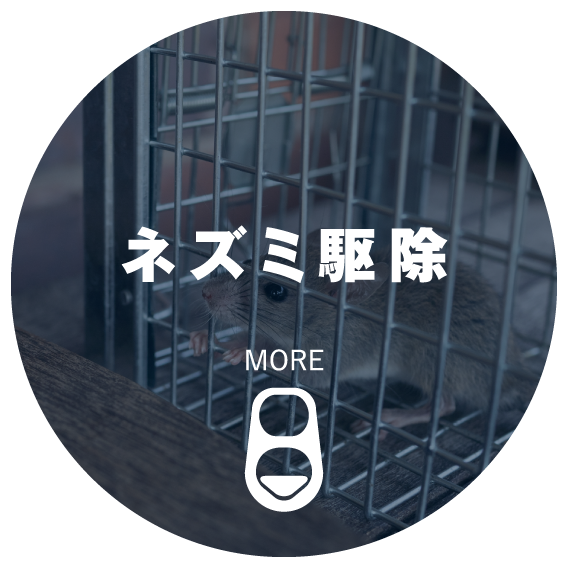 ネズミ駆除
